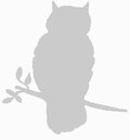 Owl-Silhouette2.jpg
